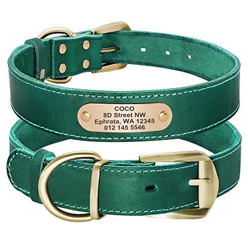 Didog Engraved Nameplate Customizable Dog Collars
